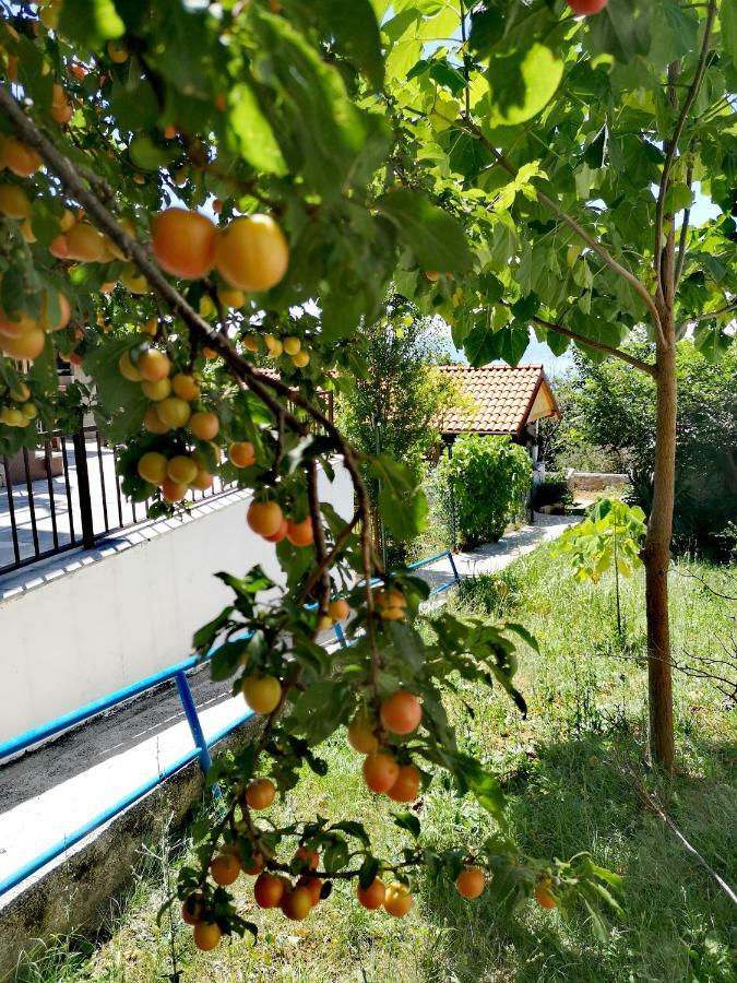 Apartment Eden Crikvenica Bagian luar foto